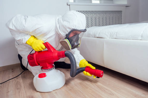 Trusted Littleton Common, MA Pest Control Experts