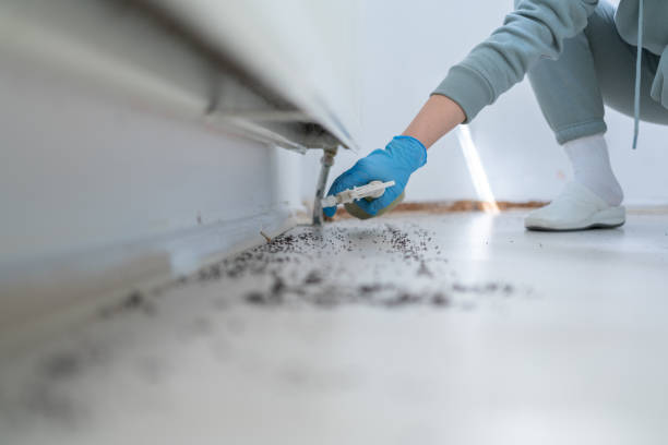 Best Best Pest Control Companies  in Littleton Common, MA